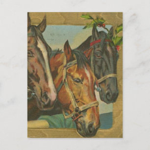 Vintage Christmas Horses Holiday Postcard