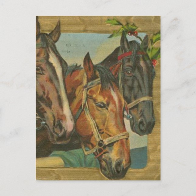 Vintage Christmas Horses Holiday Postcard (Front)
