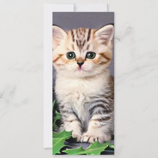 Vintage Christmas Kitten and Holly Card (Front)