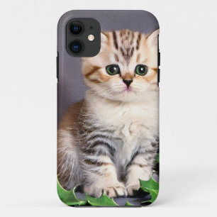 Vintage Christmas Kitten and Holly iPhone 11 Case