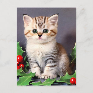 Vintage Christmas Kitten and Holly Postcard