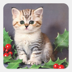 Vintage Christmas Kitten and Holly Square Sticker