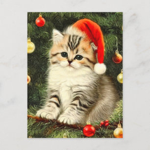 Vintage Christmas Kitten Holiday Postcard