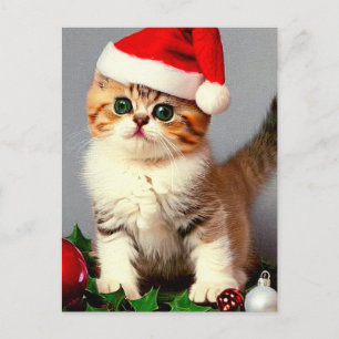 Vintage Christmas Kitten in Santa Hat Holiday Postcard