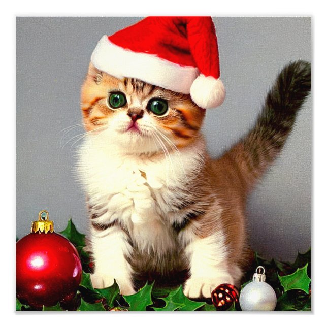 Vintage Christmas Kitten in Santa Hat Photo Print (Front)