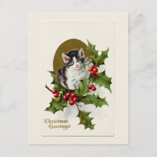 Vintage Christmas Kitten White Postcard