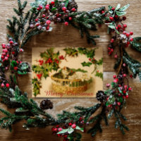 Vintage Christmas Kittens sleeping with Berries