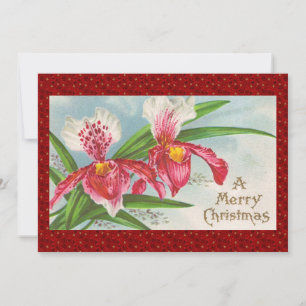 Vintage Christmas Orchids Holiday Card