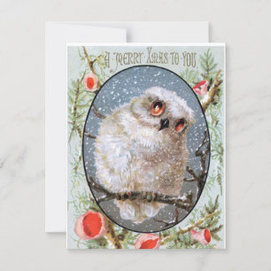 Vintage Christmas Owl Holiday Card