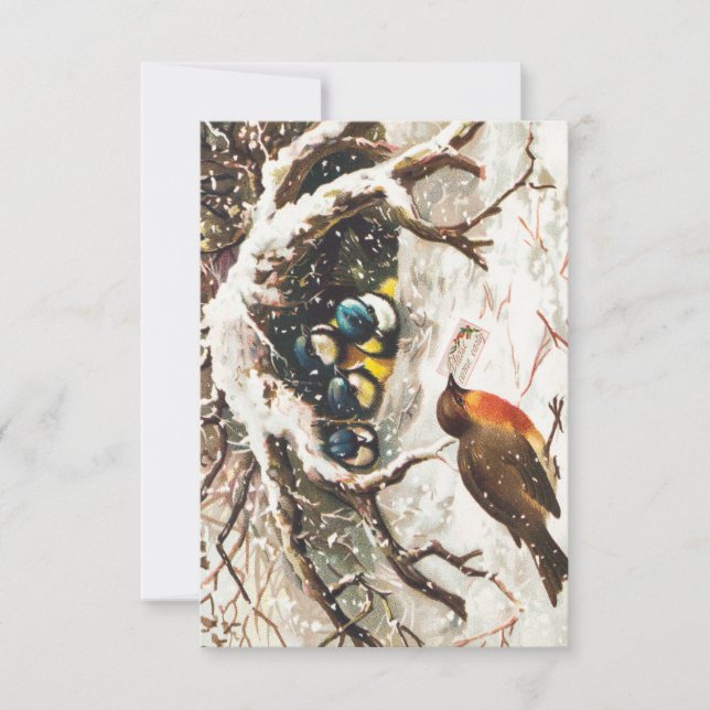 Vintage Christmas Postcard Depicting Birds in Snow (Front)