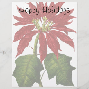 Vintage Christmas, Red Poinsettia Winter Plant