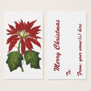 Vintage Christmas, Red Poinsettia Winter Plant