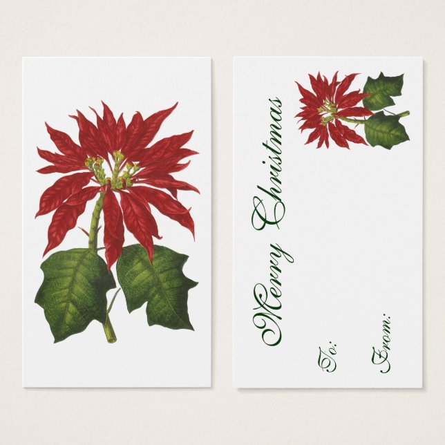 Vintage Christmas, Red Poinsettia Winter Plant (Front & Back)