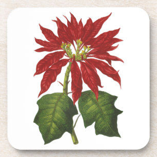 Vintage Christmas, Red Poinsettia Winter Plant Coaster
