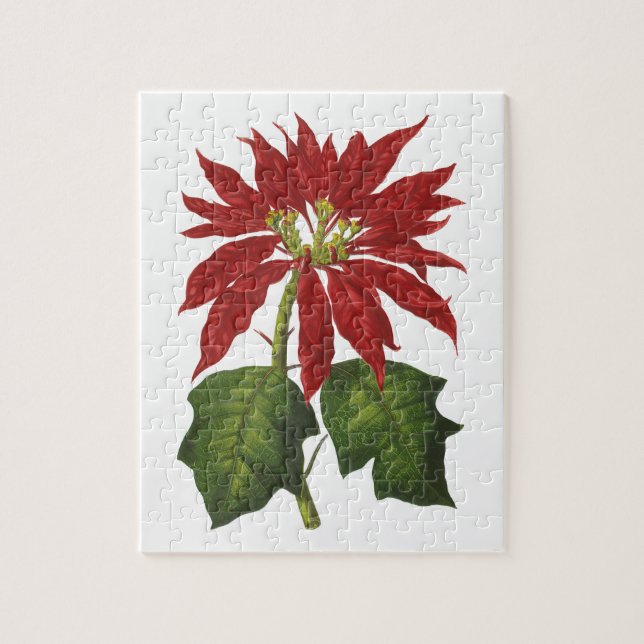 Vintage Christmas, Red Poinsettia Winter Plant Jigsaw Puzzle (Vertical)