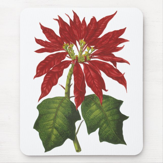 Vintage Christmas, Red Poinsettia Winter Plant Mouse Mat (Front)