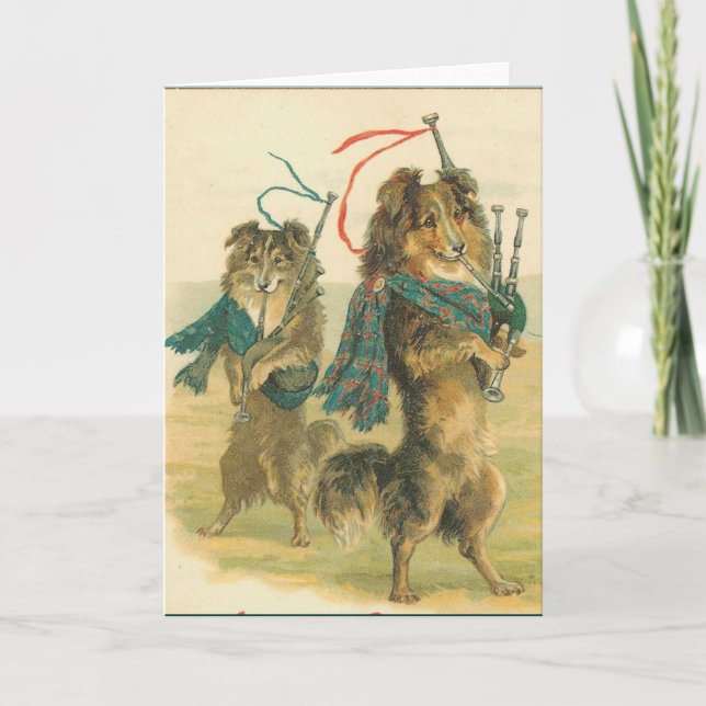 Vintage Christmas Scottish piper dogs collies Holiday Card (Front)