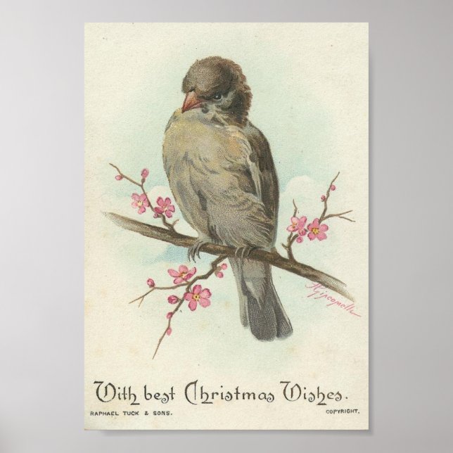 Vintage Christmas Sparrow Poster (Front)