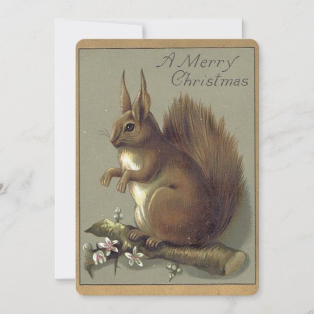 Vintage Christmas Squirrel Holiday Card (Front)