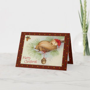 Vintage Christmas, Squirrel, pine and acorn Holiday Card