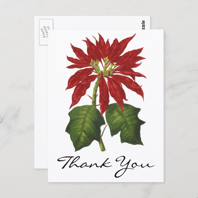 Vintage Christmas Thank You Postcard (Front/Back)