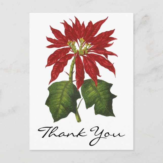 Vintage Christmas Thank You Postcard (Front)