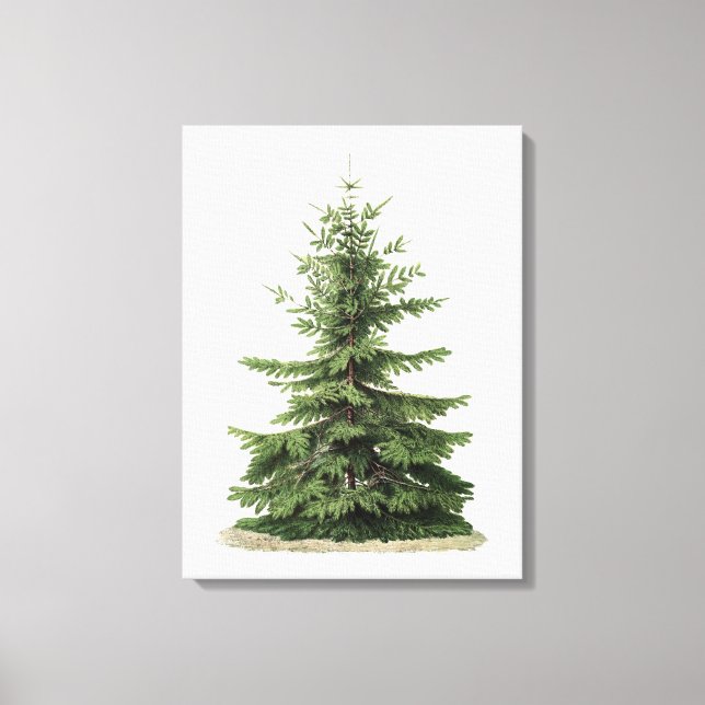 Vintage Christmas Tree Canvas Print (Front)
