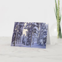 Vintage Christmas Winter Snow