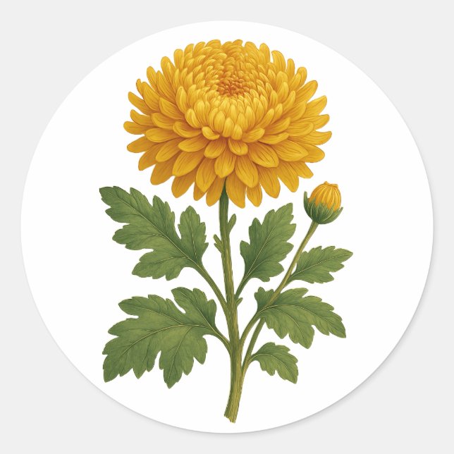 Vintage Chrysanthemum sticker - round (Front)