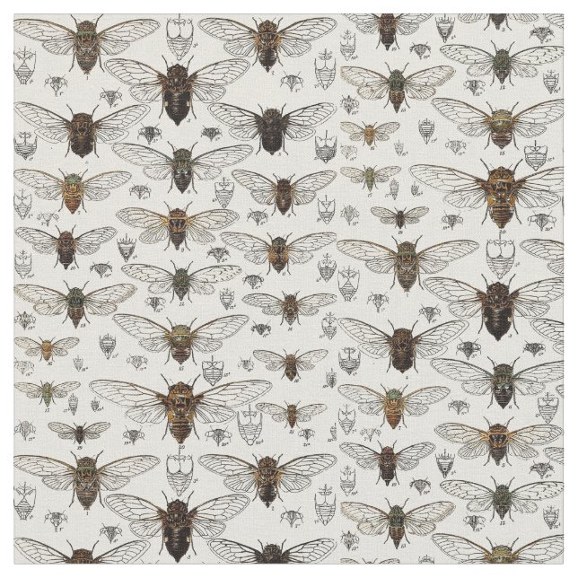Vintage Cicadas Illustration Fabric (Close Up)