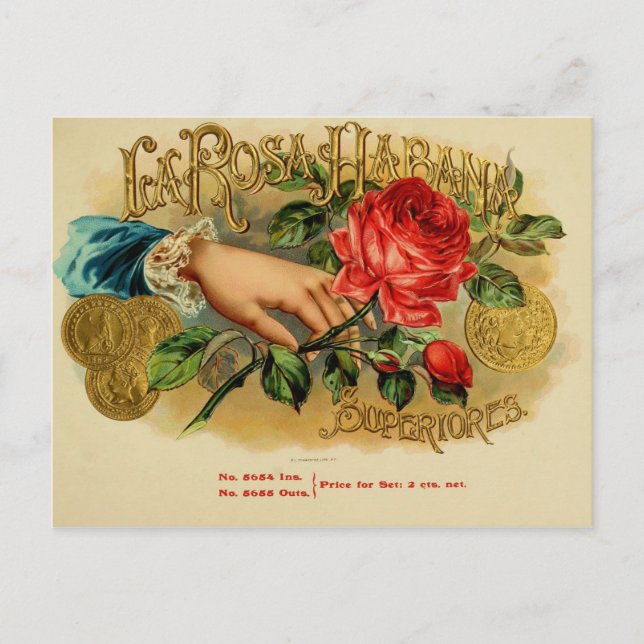 Vintage Cigar Box Label Postcard (Front)