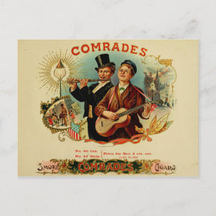 Vintage Cigar Box Label Postcard