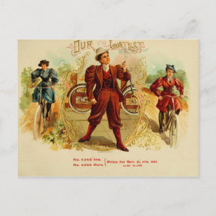 Vintage Cigar Box Label Postcard