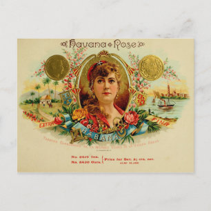 Vintage Cigar Box Label Postcard