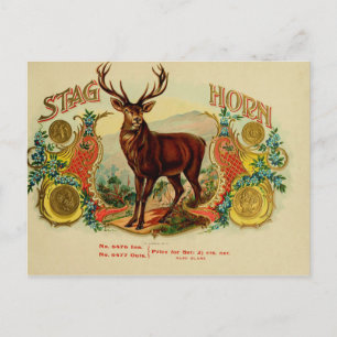 Vintage Cigar Box Label Postcard