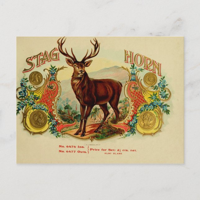 Vintage Cigar Box Label Postcard (Front)