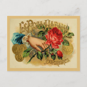 Vintage Cigar Box Label Postcard