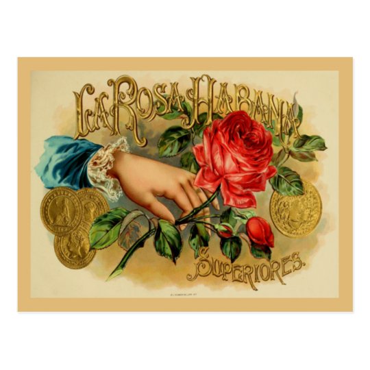 Vintage Cigar Box Label Postcard