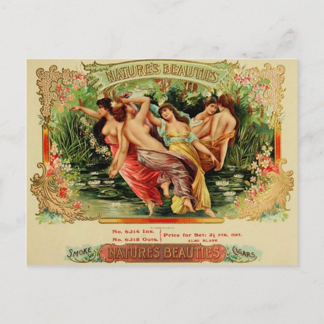 Vintage Cigar Box Label Postcard 77 (Front)