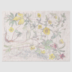 Vintage Cinquefoil Wildflower Flowers Tissue Paper