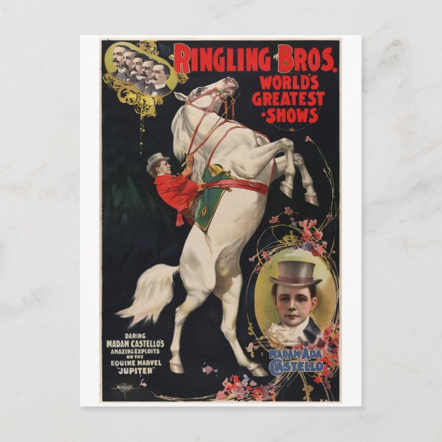 Vintage Circus Animal Act Promotional Postcard (Front)