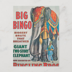 Vintage : circus Barnum & Bailey - Postcard