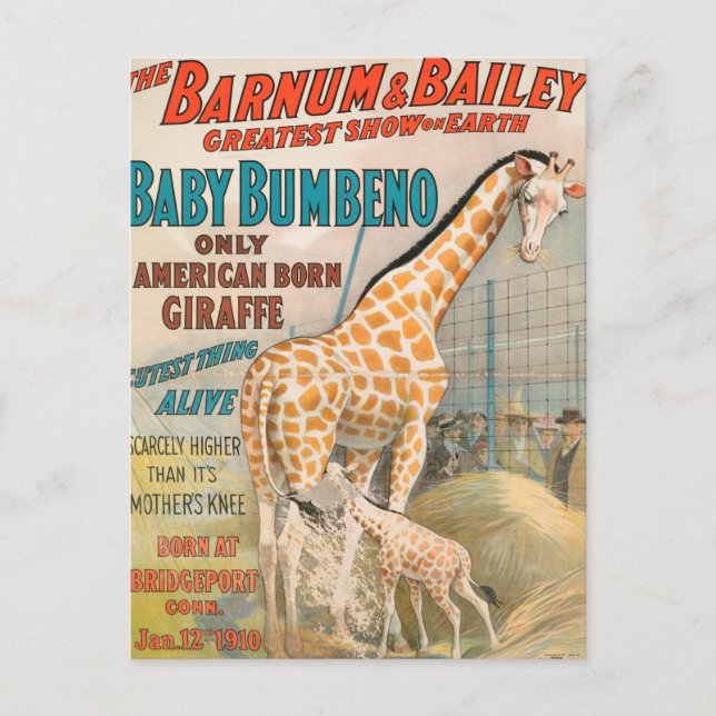 Vintage : circus Barnum & Bailey - Postcard (Front)