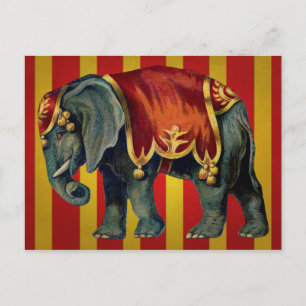vintage circus elephant postcard