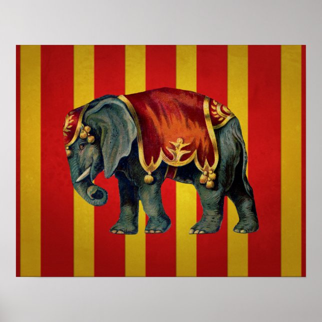 vintage circus elephant poster (Front)
