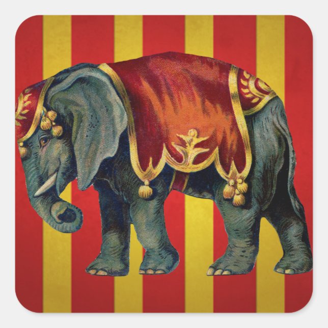 vintage circus elephant square sticker (Front)