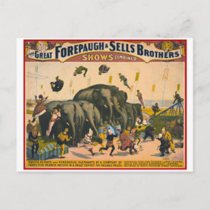Vintage circus elephants acrobats Forepaugh & Sell Postcard