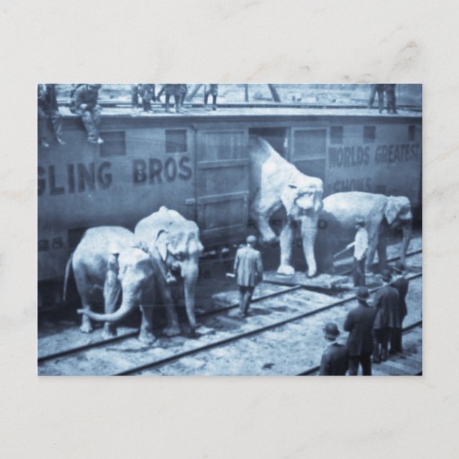 Vintage Circus Elephants Ringling Railroad Car Postcard (Front)