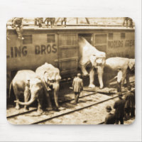 Vintage Circus Elephants Unloading from Train Car