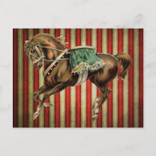 vintage circus horse postcard